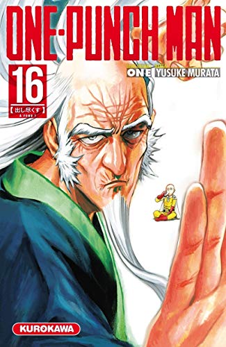 ONE-PUNCH MAN (16)